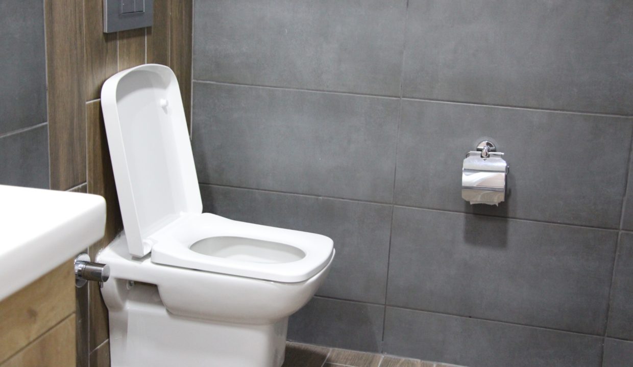 Saforest Villa Ardic Ground Floor Toilet
