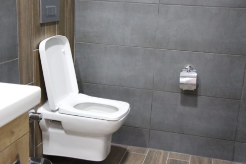 Saforest Villa Ardic Ground Floor Toilet